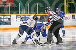 April 3 2025 Cubs v T Birds Game 1 Semi