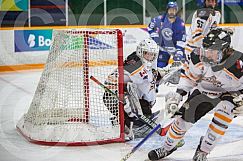 December 5 2024 Cubs V the Storm