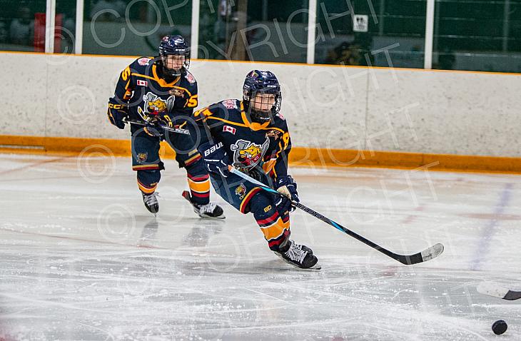 Chatham-Kent Cyclones v Barrie Jr. Colts