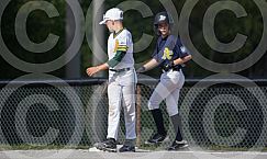 Ilderton v Thorold Field 4 9 am Aug 31