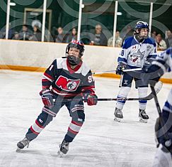 Sudbury Wolves v North Bay Trappers