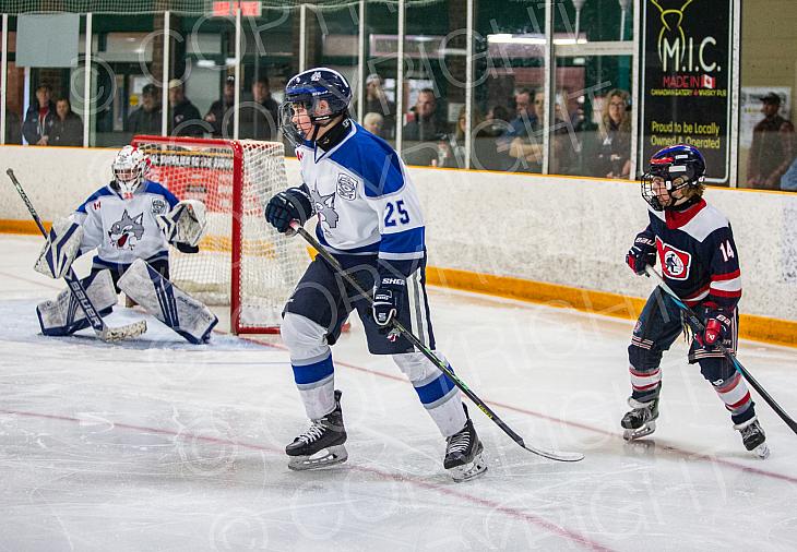 Sudbury Wolves v North Bay Trappers
