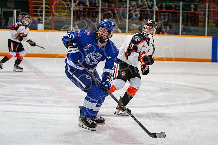 April 25 2025 Cubs v Hearst Lumberjacks