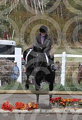 Hillsview Horse Show 2012