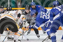 March 20 and 21 2025 Cubs v Storm