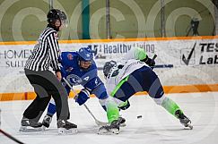 December 19 2024 Cubs v Paper Kings