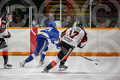 April 25 2025 Cubs v Hearst Lumberjacks