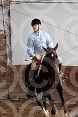 Hillsview Horse Show 2011