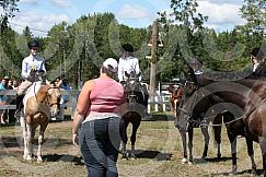 Massey Fair Horse Show 2011