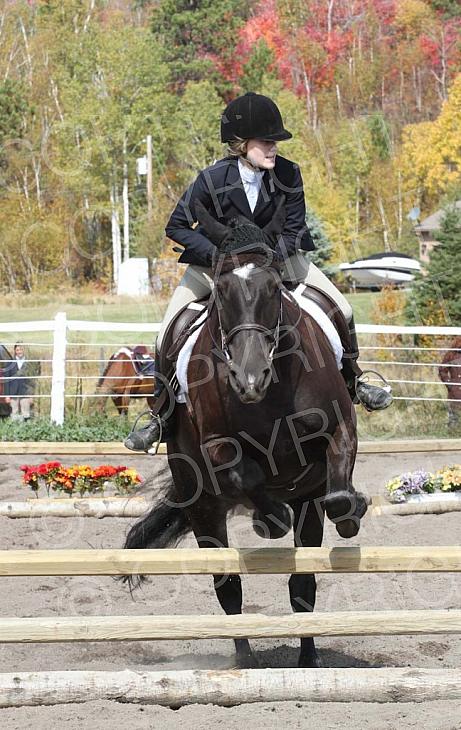 Hillsview Horse Show 2012